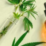 What does CBD do? A guide to the benefits and effects of cannabidiol
